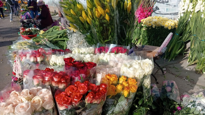 Floricultores afectados por los bloqueos. (Imagen: En Conexión)
