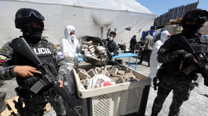 Operativo de destrucción de droga.