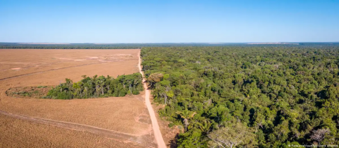 Deforestación en el estado brasileño de Mato Grosso, en el corazón de la cuenca amazónica.