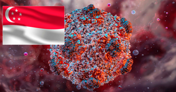 Posible presencia de hantavirus en Singapur. (Composición En Conexión: RRSS)