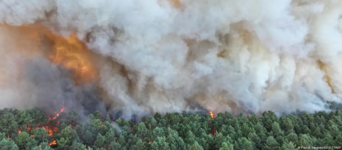 Las 800 hectáreas calcinadas representan cerca del 5 % de la superficie del emblemático bosque de Fontainebleau.
